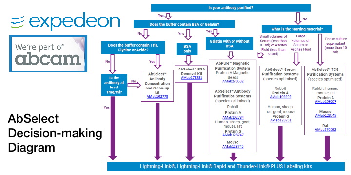 AbSelect Decision-making Diagram