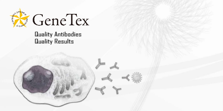 GeneTex Cited Antibodies