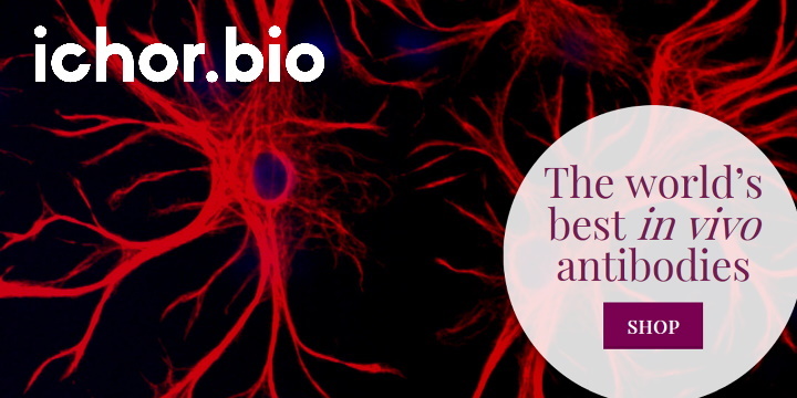 IchorBio: Antibodies for in vivo research