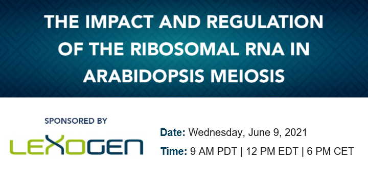 Webinar Lexogen: The Impact and Regulation of the Ribosomal RNA in Arabidopsis Meiosis