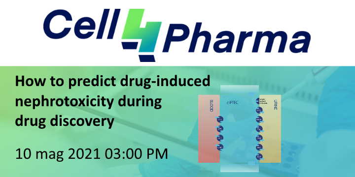 Webinar: How to predict drug-induced nephrotoxicity during drug discovery